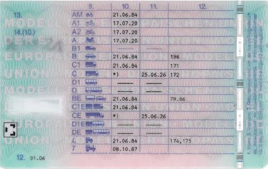 Rückseite eines Führerscheins mit Klassen und Daten